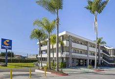 その他 2 Comfort Inn Sea World Area