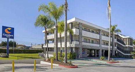 その他 2 Comfort Inn Sea World Area