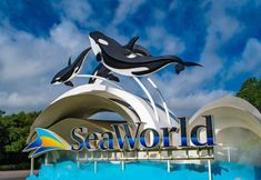 その他 5 Old Town Western Inn & Suites