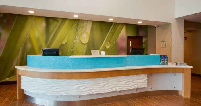 Lainnya SpringHill Suites by Marriott Orlando Lake Buena Vista South