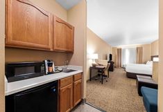其他 2 Comfort Suites Roanoke - Fort Worth North