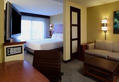 その他 2 Hyatt Place Dallas/Las Colinas