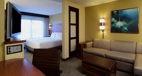 その他 2 Hyatt Place Dallas/Las Colinas