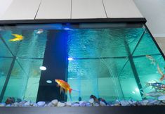 其他 3 Residencial Lar do Areeiro