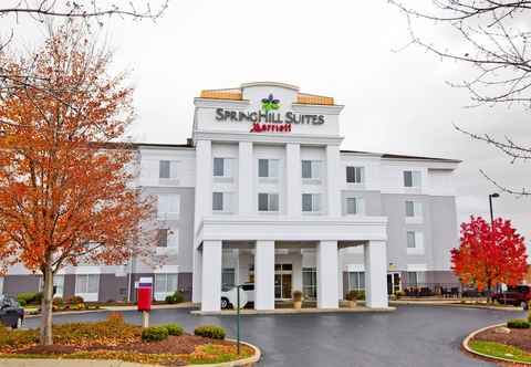 Lainnya SpringHill Suites by Marriott Pittsburgh Monroeville