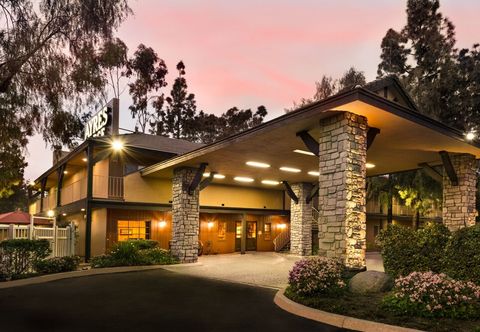 기타 Ayres Lodge Alpine