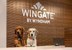 Others 2 Wingate by Wyndham Lethbridge