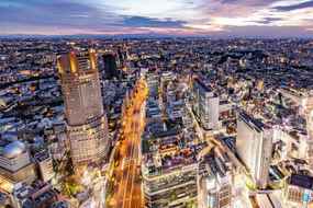 โรงแรมเซรูเลียน ทาวเวอร์ โตคิว, THB 17,358.49