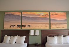 Others 5 Days Inn by Wyndham Nacogdoches/SFA University/Downtown