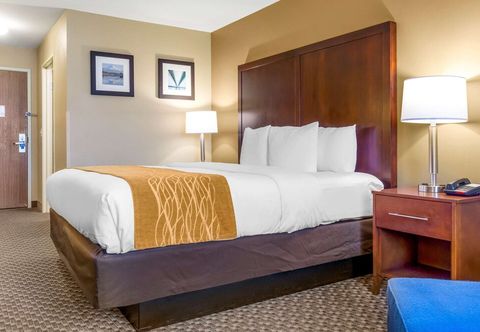 其他 Comfort Inn Auburn - Seattle