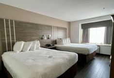 其他 6 Best Western Roanoke Inn & Suites