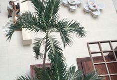 其他 2 Marano Hotel