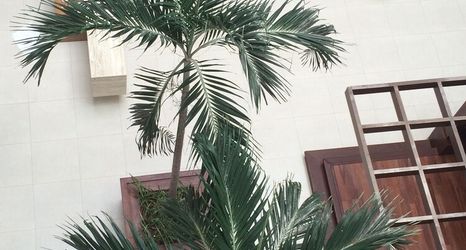 其他 2 Marano Hotel