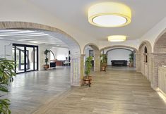 기타 2 Sol Torremolinos - Don Pedro