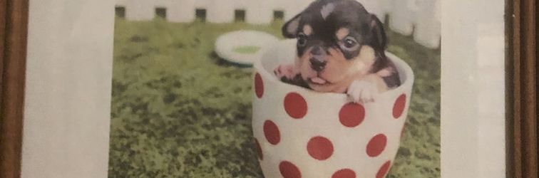 其他 Hotel Blue Top Inn