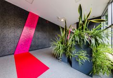 기타 4 Wyspianski Hotel