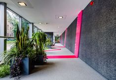 기타 3 Wyspianski Hotel