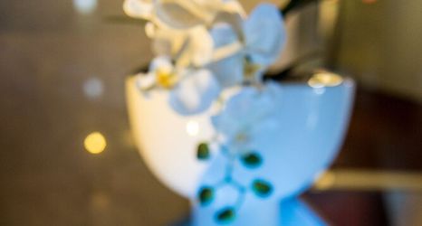 其他 2 Niebieski Art Hotel & Spa