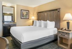 其他 3 Best Western Americana Inn