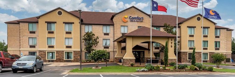 其他 Comfort Inn & Suites Mansfield