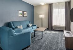 其他 7 Comfort Inn & Suites Troutville - Roanoke North / Daleville