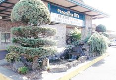 อื่นๆ 7 PepperTree Inn