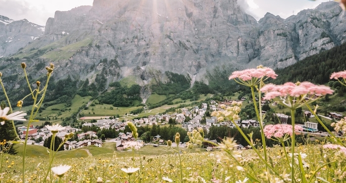 Khác Thermalhotels & Walliser Alpentherme Spa