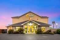 Lainnya Comfort Inn & Suites Redwood Country