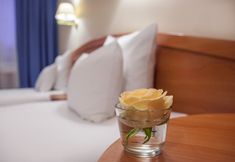 其他 5 Hotel Mercure Czestochowa Centrum