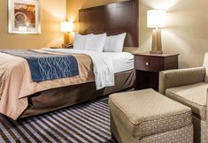 Others 6 Comfort Inn & Suites Ballpark Area