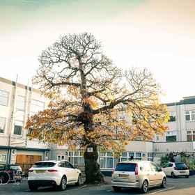 Primary image 1 Hotel Celebrity Bournemouth East Cliff by Villare Hotels, Bournemouth International Centre Hotels