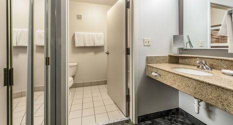 기타 2 Courtyard by Marriott Dallas DFW Airport South/Irving