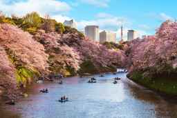 Four Seasons Hotel Tokyo at Marunouchi, THB 40,810.97