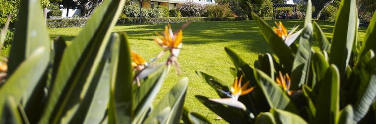 기타 Quinta Da Casa Branca