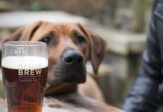 其他 3 The Woolpack Hotel