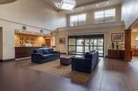 Lain-lain Comfort Suites near Texas Medical Center - NRG Stadium