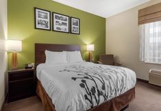 Others 7 Sleep Inn & Suites Allendale