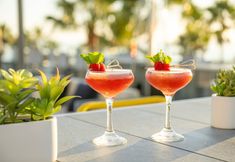 その他 4 SpringHill Suites by Marriott San Diego Carlsbad