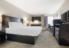 Others 5 Best Western Bayou Inn