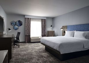 其他 4 Hampton Inn & Suites Dallas-DFW ARPT W-SH 183 Hurst