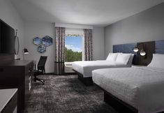 其他 5 Hampton Inn & Suites Dallas-DFW ARPT W-SH 183 Hurst