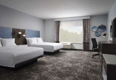 其他 2 Hampton Inn & Suites Dallas-DFW ARPT W-SH 183 Hurst