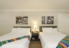 Lainnya 7 Palm Canyon Hotel & RV Resort