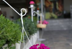 Others 2 B&B Yüzbaşı Beach Hotel