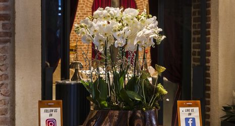 อื่นๆ 2 Régie Ottoman Istanbul