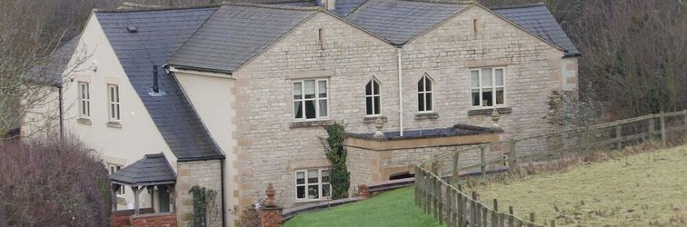 其他 Broccoli Bottom