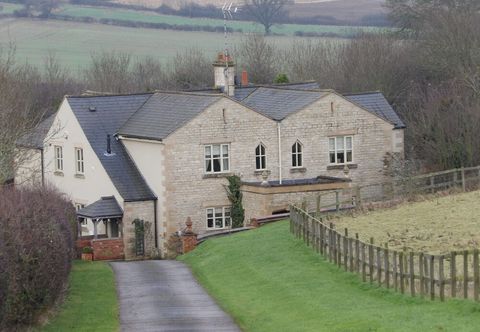 其他 Broccoli Bottom