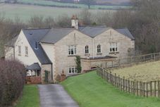 其他 Broccoli Bottom