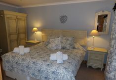 其他 4 Broccoli Bottom