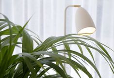 Others 3 Lena Mare Boutique Hotel